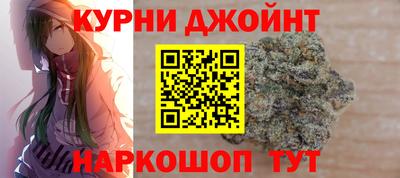 сатива Нальчик