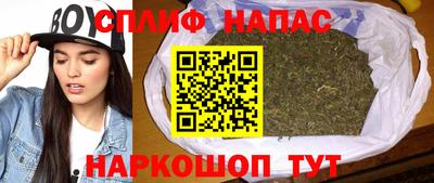 сатива Нальчик