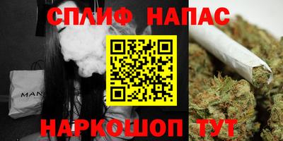 сатива Нальчик