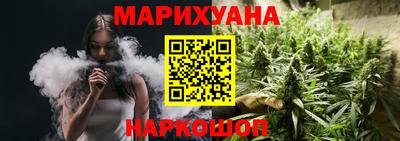 сатива Нальчик