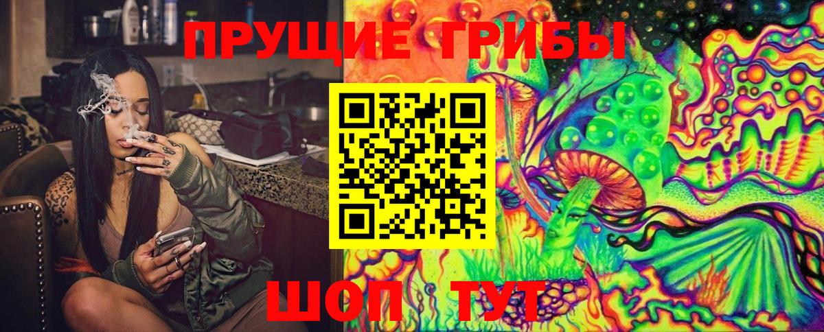Удомля  Галлюциногенные грибы Magic Shrooms  Вход с VPN  наркота  Галлюциногенные грибы GOLDEN TEACHER 